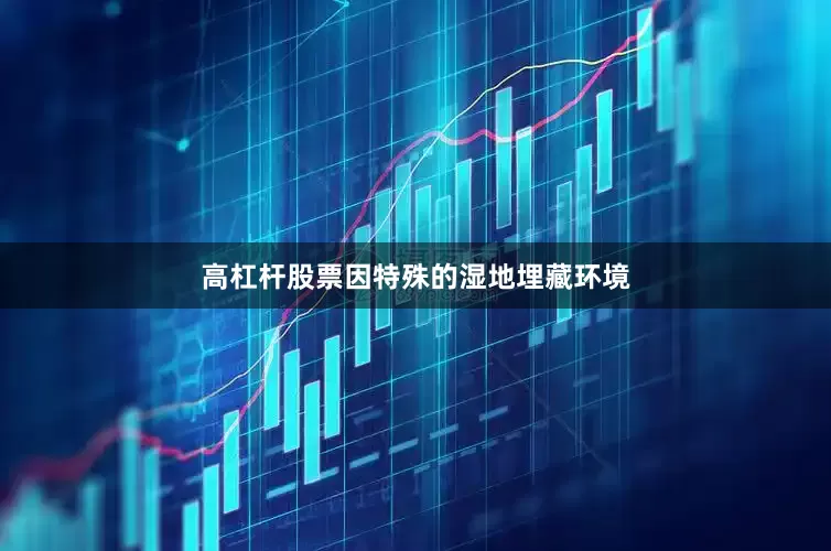 高杠杆股票因特殊的湿地埋藏环境