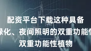 配资平台下载这种具备日间绿化、夜间照明的双重功能性植物
