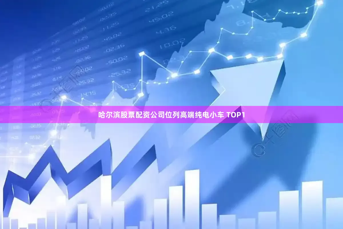 哈尔滨股票配资公司位列高端纯电小车 TOP1