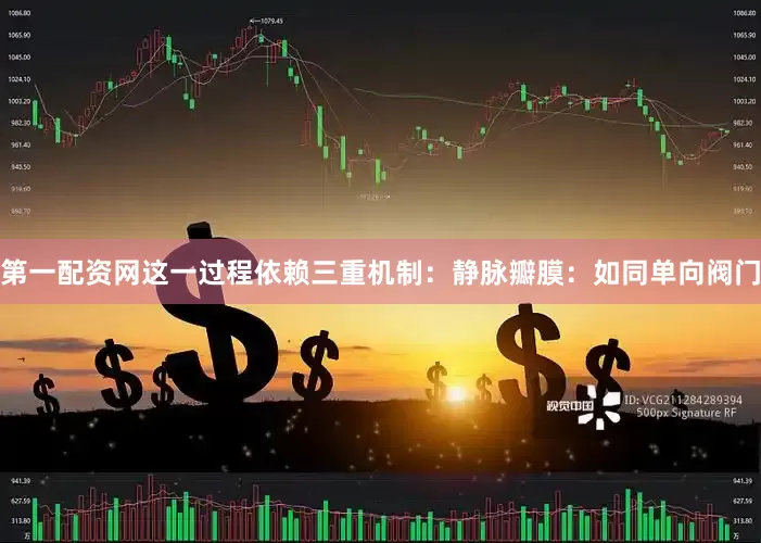 第一配资网这一过程依赖三重机制：静脉瓣膜：如同单向阀门