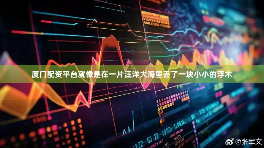 厦门配资平台就像是在一片汪洋大海里丢了一块小小的浮木